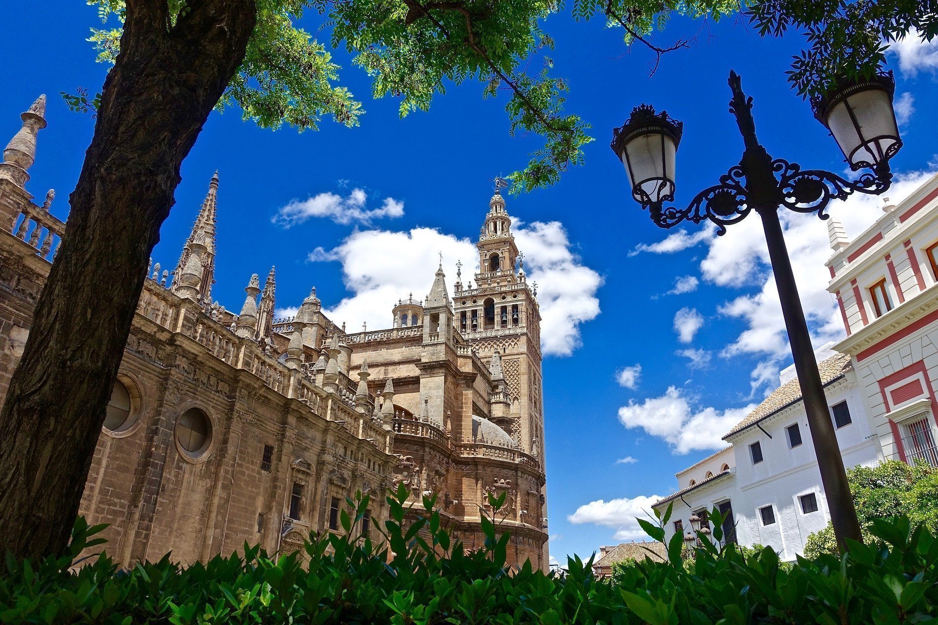 tour catedral sevilla